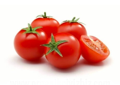 Cherry Tomato Koyuncu Greenhouse