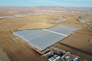  Koyuncu Greenhouse