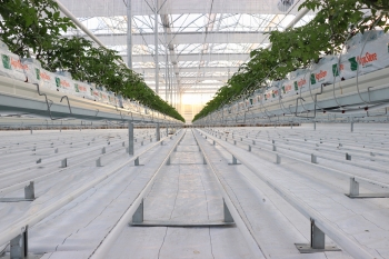  Koyuncu Greenhouse